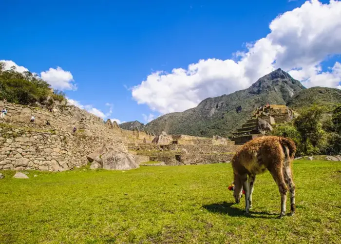 Machu Picchu, Peru Machu Picchu, Peru
