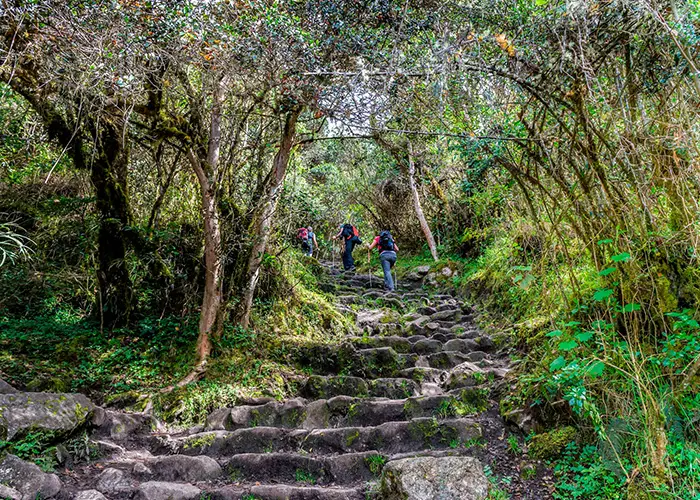 Warmiwanusca, Trilha Inca Clássica Warmiwanusca, Trilha Inca Clássica
