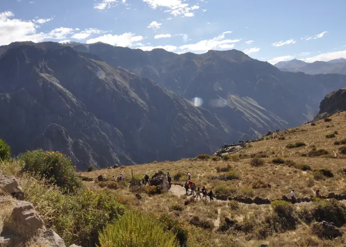 Cânion do Colca Arequipa Cânion do Colca - pacotes para Arequipa