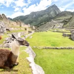 Machu Picchu Cusco